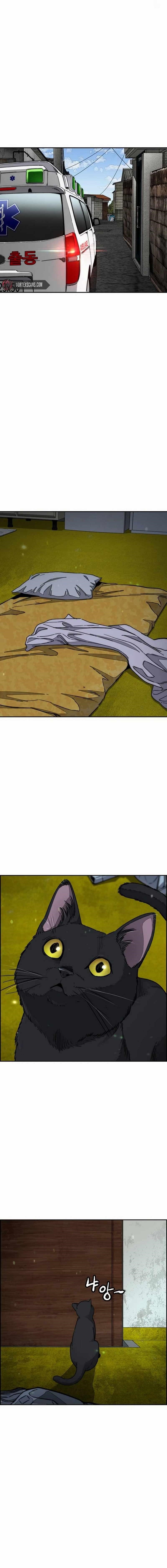Wind breaker Chapter 547 - Page 21